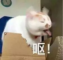 男性备孕为啥要吃锌硒宝（男士备孕吃锌硒宝）-硒宝网