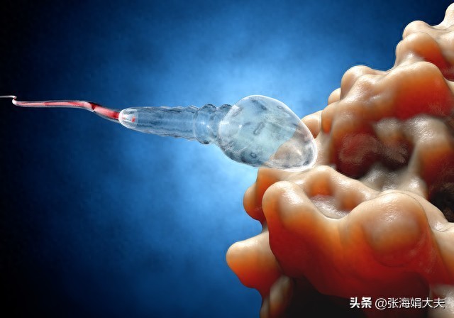 锌硒宝治疗精子质量差吗（新稀宝牌锌硒宝片精子）-硒宝网