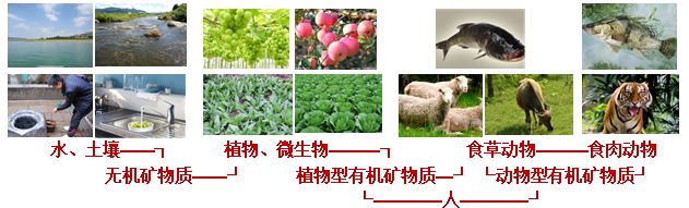 锌硒宝片有什么作用说明（锌硒宝片管用吗）-硒宝网