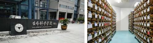 锌硒宝片有什么作用说明（锌硒宝片管用吗）-硒宝网