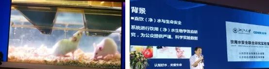 锌硒宝片有什么作用说明（锌硒宝片管用吗）-硒宝网