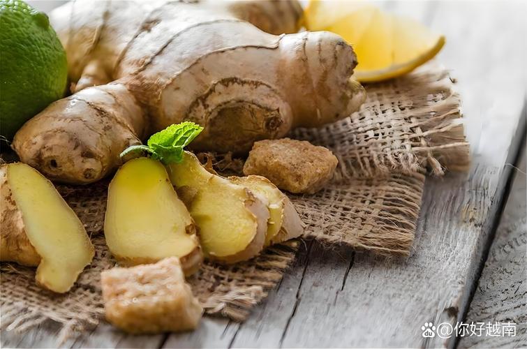 锌硒宝和人参可以同吃吗(锌硒宝可以常吃吗)-硒宝网