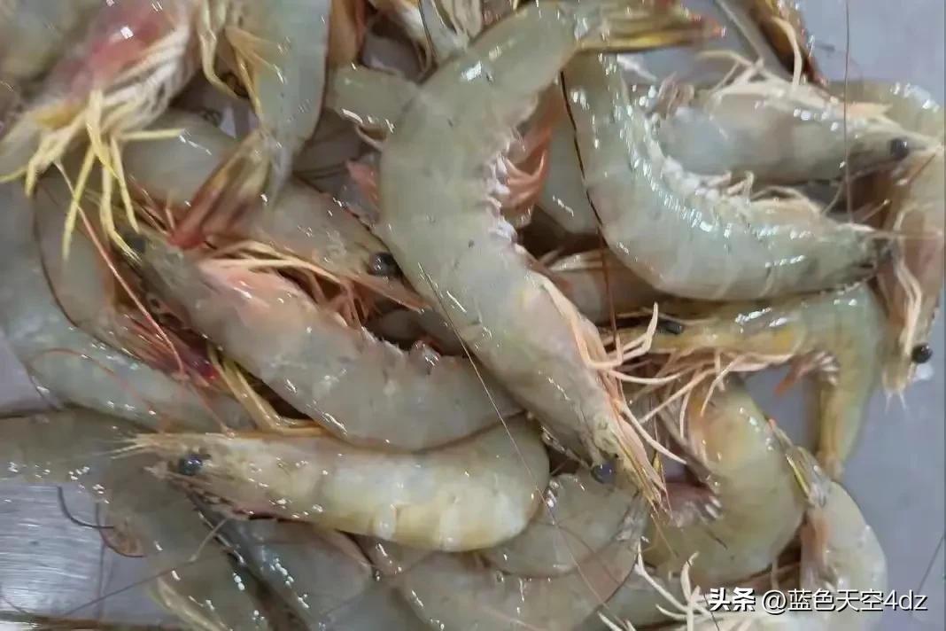 吃锌硒宝不会影响身高吧(锌硒宝儿童吃会导致早熟吗)-硒宝网