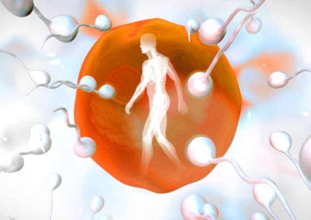 锌硒宝能治疗精子浓度吗（锌硒宝对性功能有帮助吗）-硒宝网