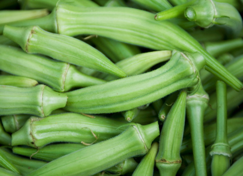 锌硒宝片对骨折有作用吗(锌硒宝片说明)-硒宝网