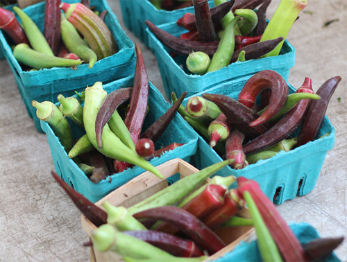 锌硒宝片对骨折有作用吗(锌硒宝片说明)-硒宝网