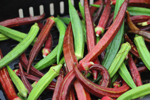 锌硒宝片对骨折有作用吗(锌硒宝片说明)-硒宝网