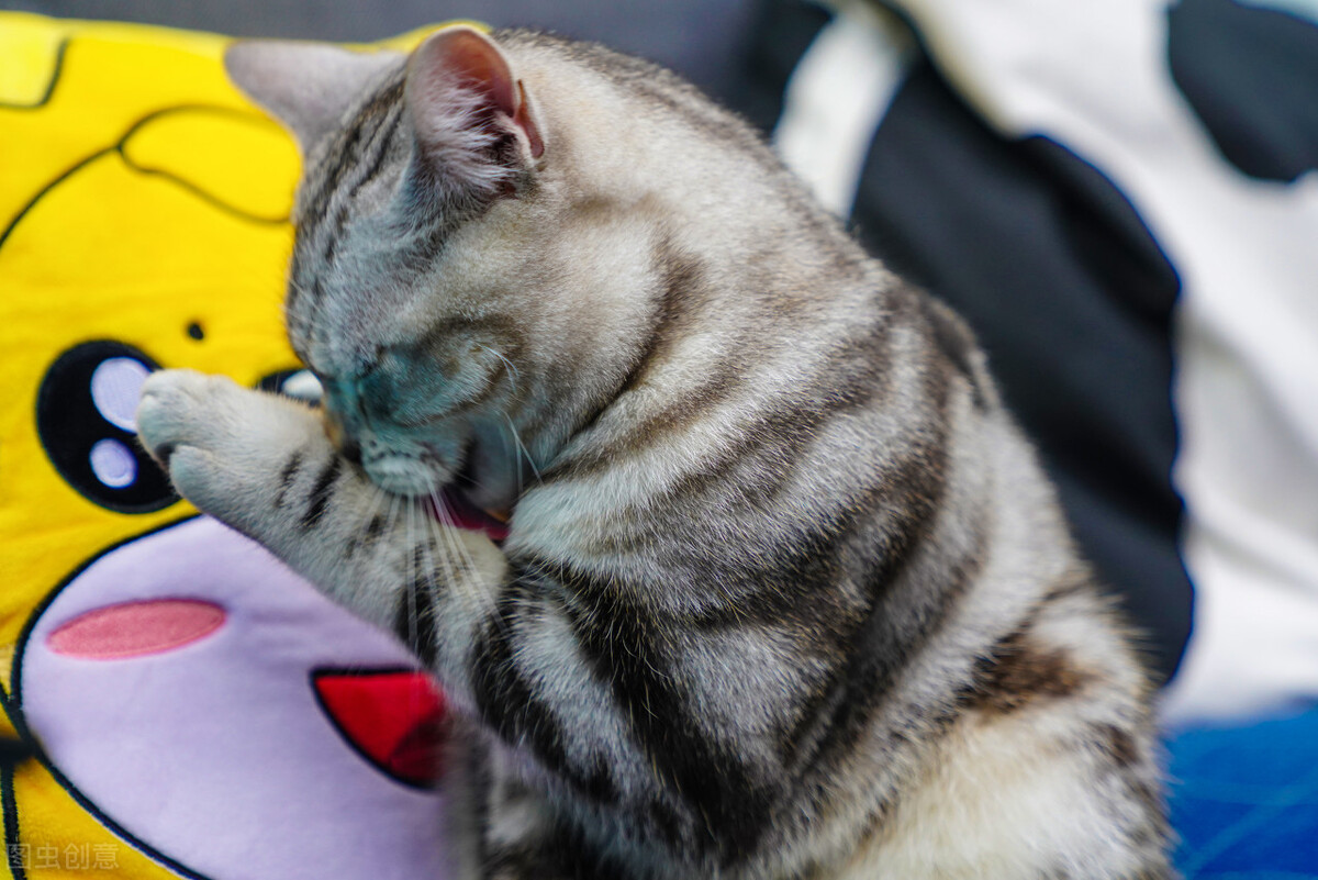 猫咪误食锌硒宝片有事吗(锌对猫的作用)-硒宝网