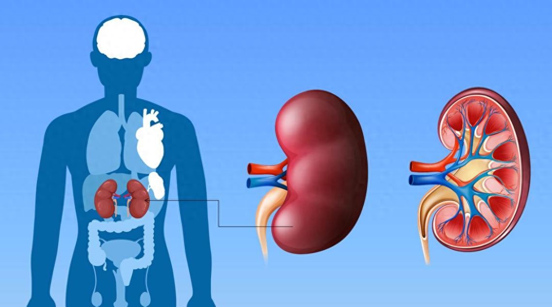 生蚝和锌硒宝哪个效果好(补锌生蚝)-硒宝网