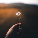 孕妇吃锌硒宝片胃不舒服(孕妇吃的锌片)-硒宝网