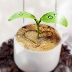 孕妇吃锌硒宝片胃不舒服(孕妇吃的锌片)-硒宝网