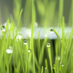 孕妇吃锌硒宝片胃不舒服(孕妇吃的锌片)-硒宝网