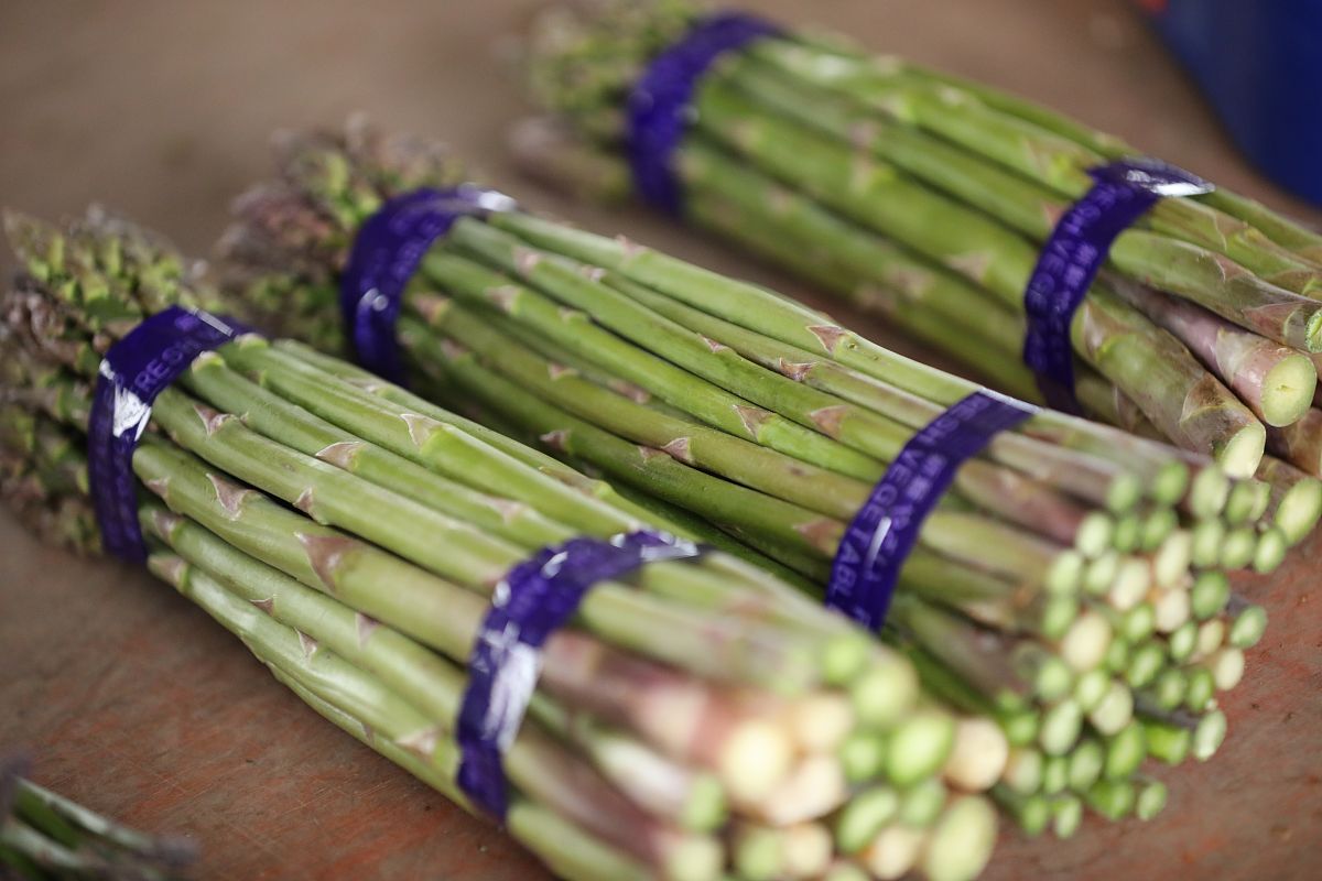 锌硒宝能长期给孩子吃吗（儿童吃锌硒宝可以改善吃饭吗）-硒宝网