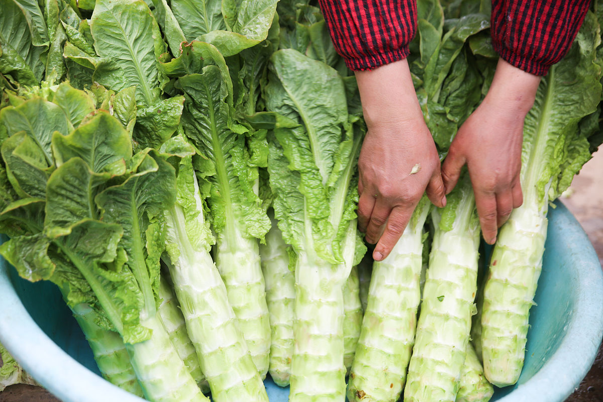 锌硒宝能长期给孩子吃吗（儿童吃锌硒宝可以改善吃饭吗）-硒宝网