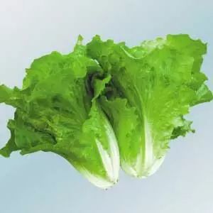 番茄红素和硒锌宝的作用(锌硒宝和番茄红素一起吃有用吗)-硒宝网