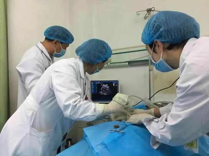 慢性肾病能不能吃锌硒宝(肾虚可以吃锌硒宝吗)-硒宝网