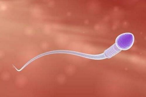 弱精吃锌硒宝就可以了吗(锌硒宝片对弱精效果大吗)-硒宝网