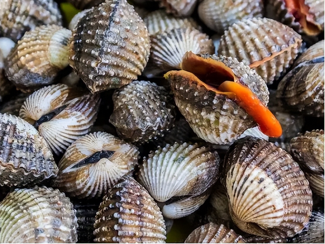 三岁小孩可以吃锌硒宝吗（孩子吃锌硒宝片的好处）-硒宝网