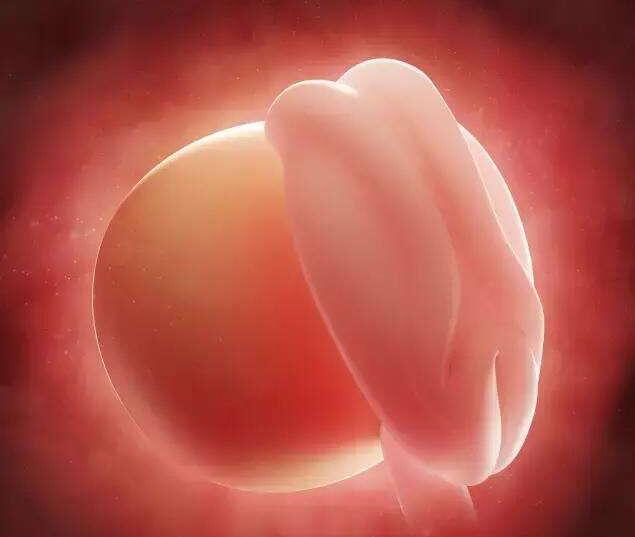 三岁宝宝能不能吃锌硒宝（宝宝补锌吃锌硒宝可以吗）-硒宝网