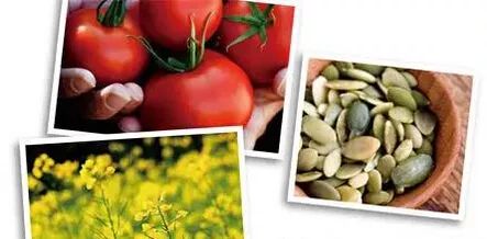 锌硒宝片能治前列腺炎吗（锌硒宝前列腺炎）-硒宝网