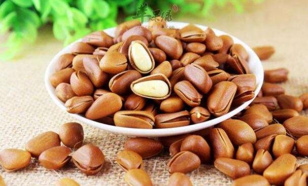 蛋白质粉和锌硒宝一起吃(蛋白锌宝宝可以吃吗)-硒宝网