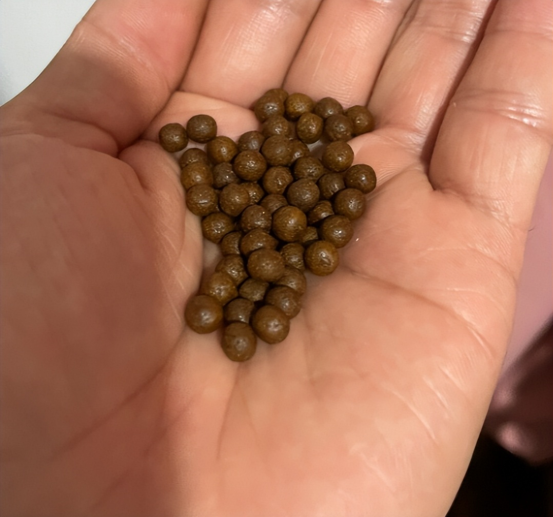 生精片五子衍宗丸锌硒宝（五子衍宗丸能和锌片一起吃吗）-硒宝网