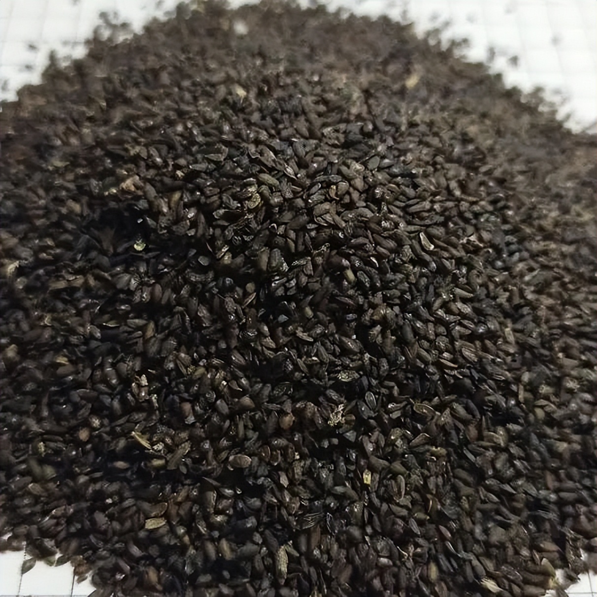 生精片五子衍宗丸锌硒宝（五子衍宗丸和锌片的效果）-硒宝网