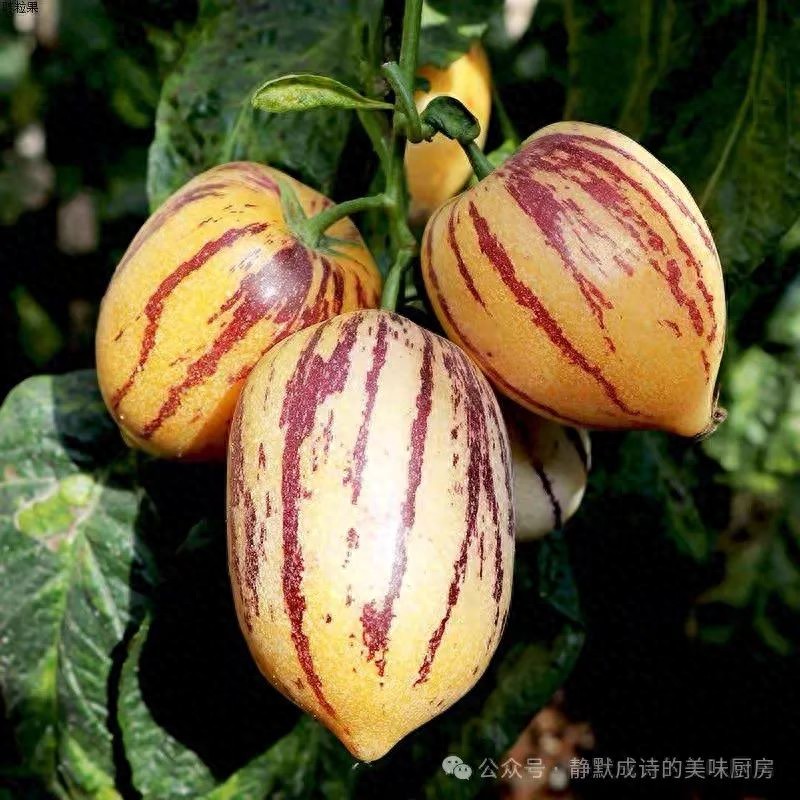 富硒果是什么水果(水果果富硒是什么意思)-硒宝网