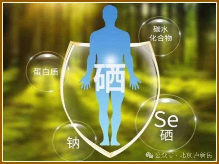 富硒食品硒含量标准(含量食品标准富硒硒是什么)-硒宝网