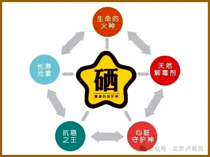 富硒食品硒含量标准(含量食品标准富硒硒是什么)-硒宝网