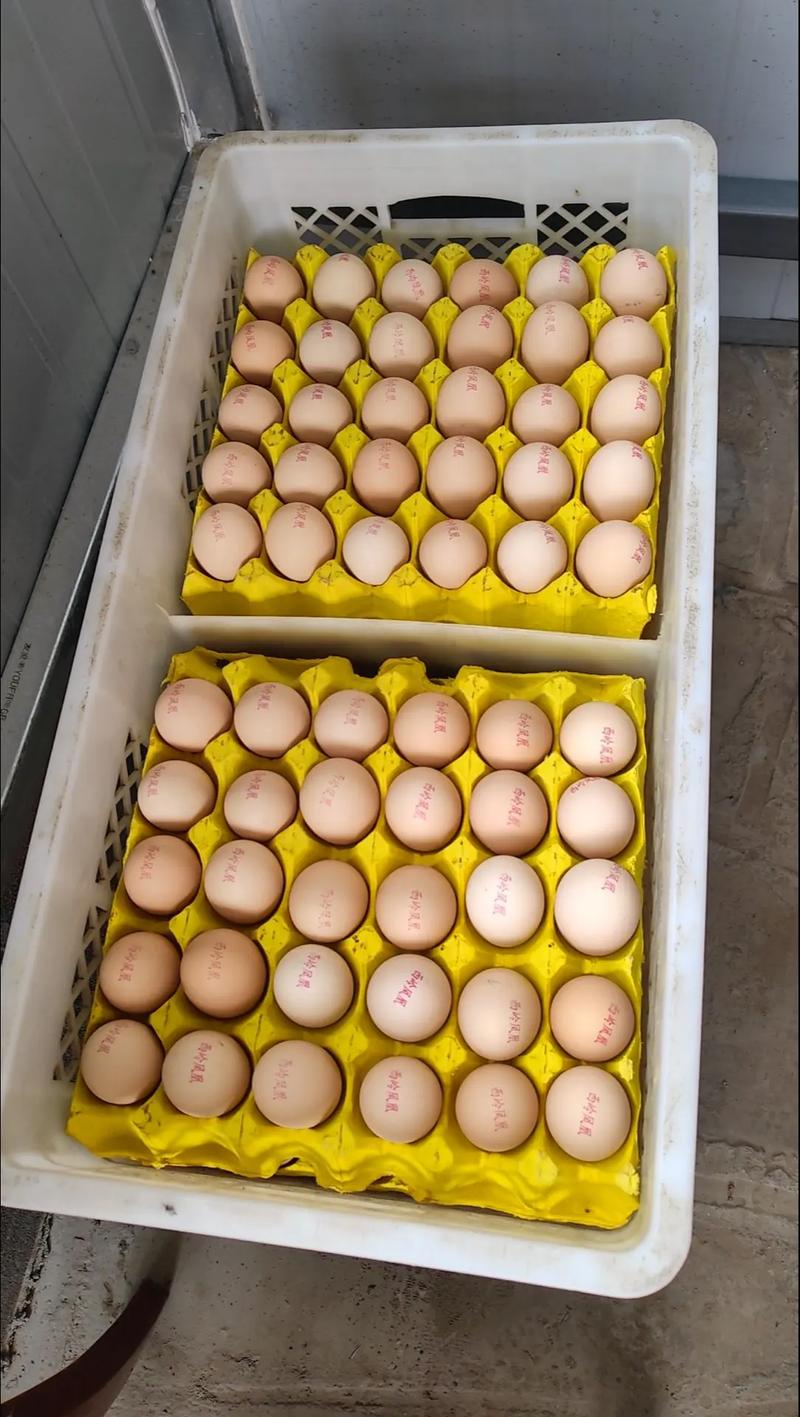 富硒鸡蛋多少钱一斤(鸡蛋富硒)-硒宝网