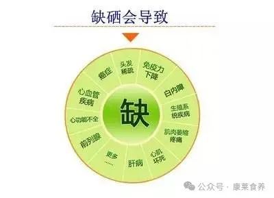 酵母硒(酵母硒的功效与作用)-硒宝网