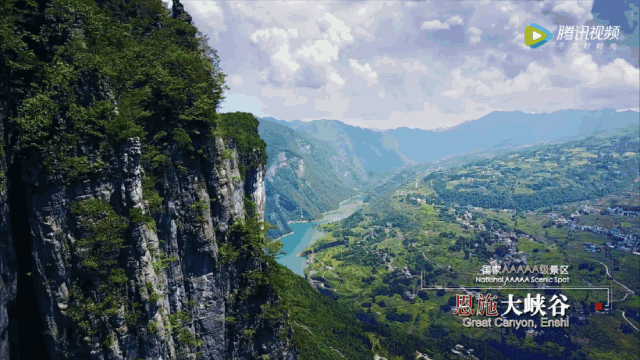 恩施富硒茶十大功效(富硒茶恩施)-硒宝网