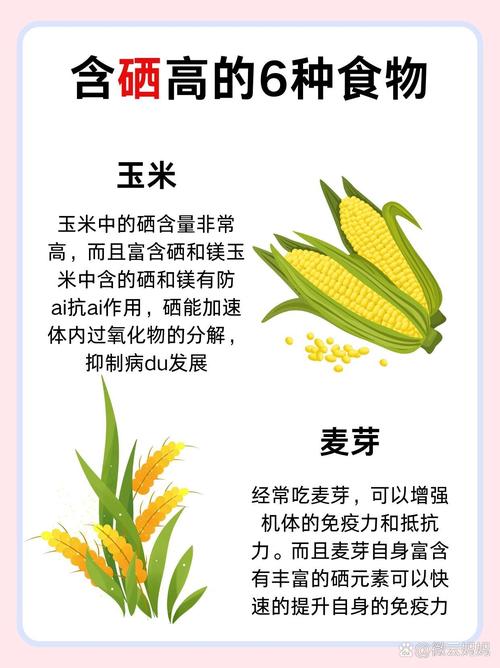 硒是什么东西（硒的东西有哪些）-硒宝网