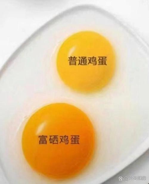 富硒鸡蛋多少钱一斤(富硒鸡蛋与普通鸡蛋的区别)-硒宝网