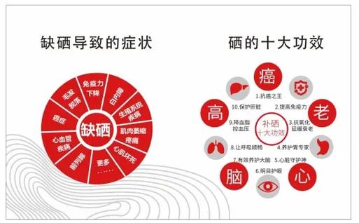 蛋白质硒（蛋白质硒代反应）-硒宝网
