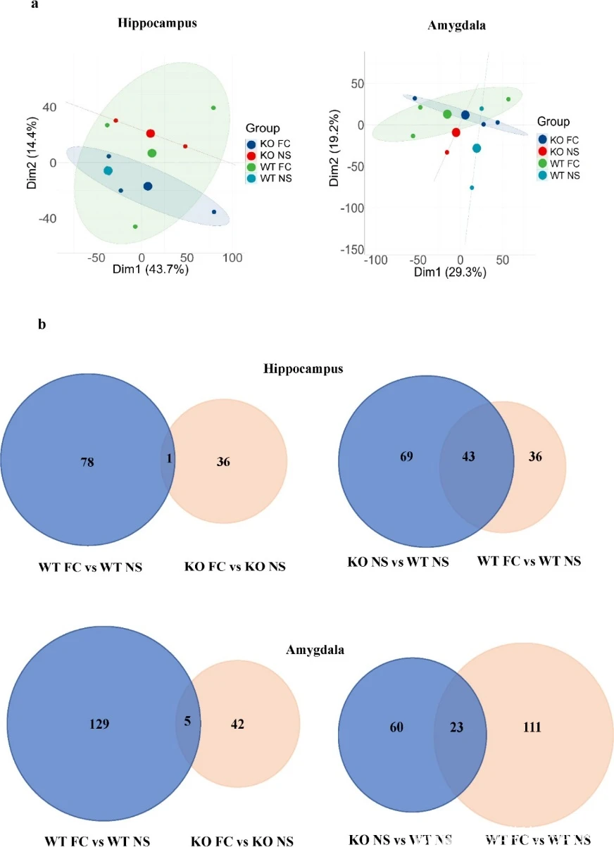 蛋白质硒(蛋白质硒元素)-硒宝网