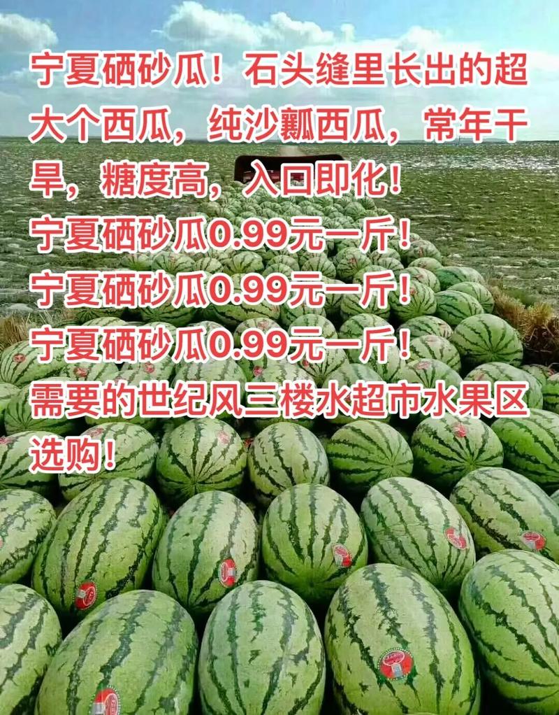 宁夏硒砂西瓜(宁夏硒砂西瓜)-硒宝网