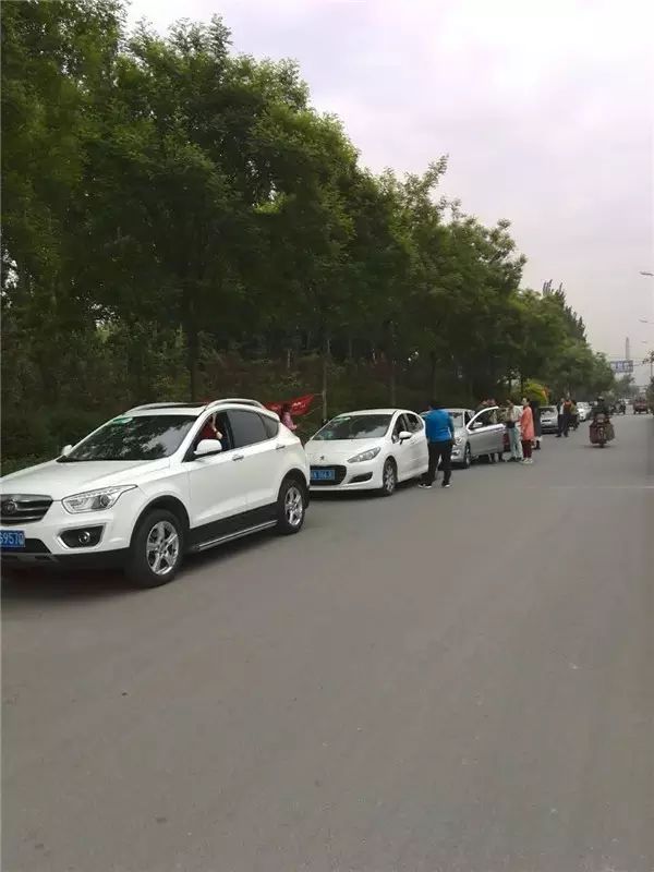 富硒西瓜产地在哪里(富硒西瓜多少钱一斤)-硒宝网