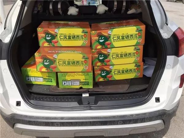 富硒西瓜产地在哪里(富硒西瓜多少钱一斤)-硒宝网