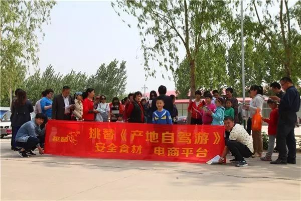 富硒西瓜产地在哪里(富硒西瓜多少钱一斤)-硒宝网