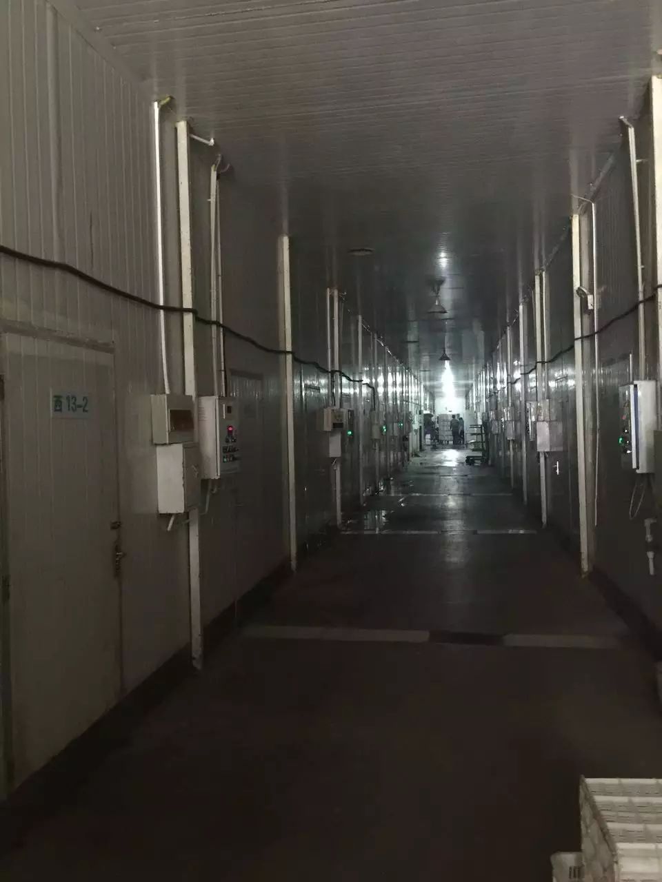 富硒西瓜产地在哪里(富硒西瓜多少钱一斤)-硒宝网