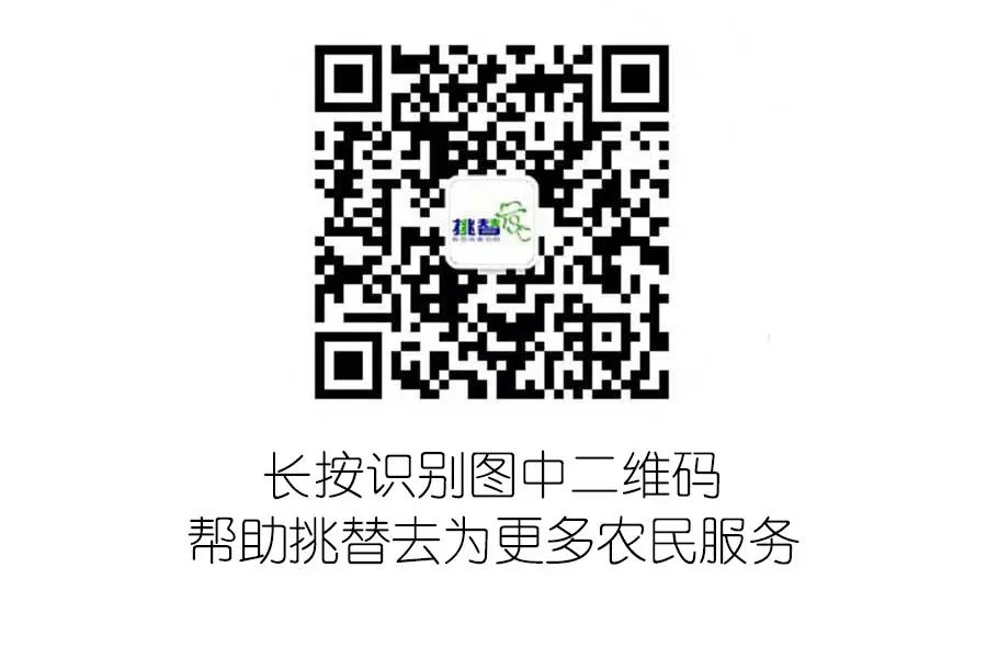 富硒西瓜产地在哪里(富硒西瓜多少钱一斤)-硒宝网
