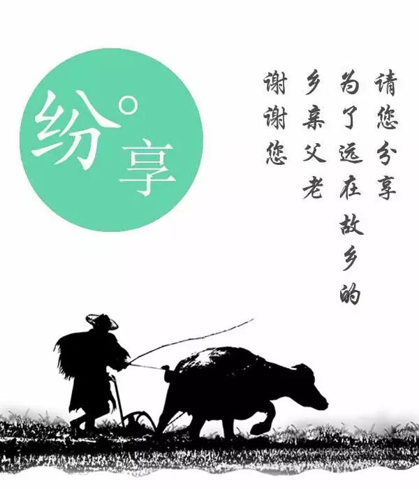 富硒西瓜产地在哪里(富硒西瓜多少钱一斤)-硒宝网