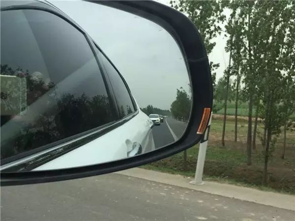 富硒西瓜产地在哪里(富硒西瓜多少钱一斤)-硒宝网