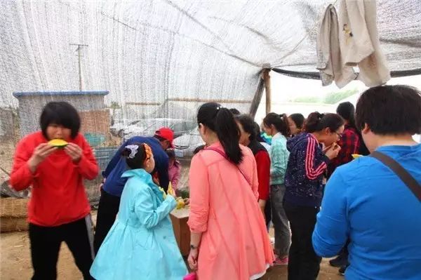 富硒西瓜产地在哪里(富硒西瓜多少钱一斤)-硒宝网