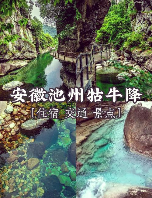 富硒村住一个月(富硒村住三个月多少元)-硒宝网