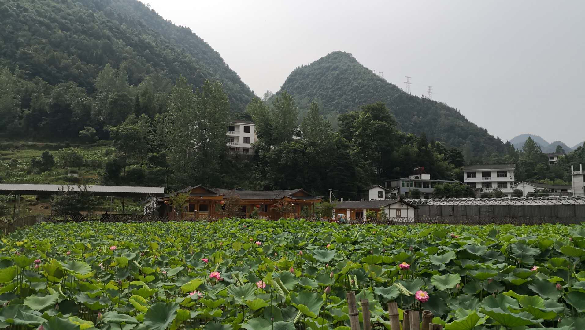 高硒地区（什么叫高硒地区）-硒宝网