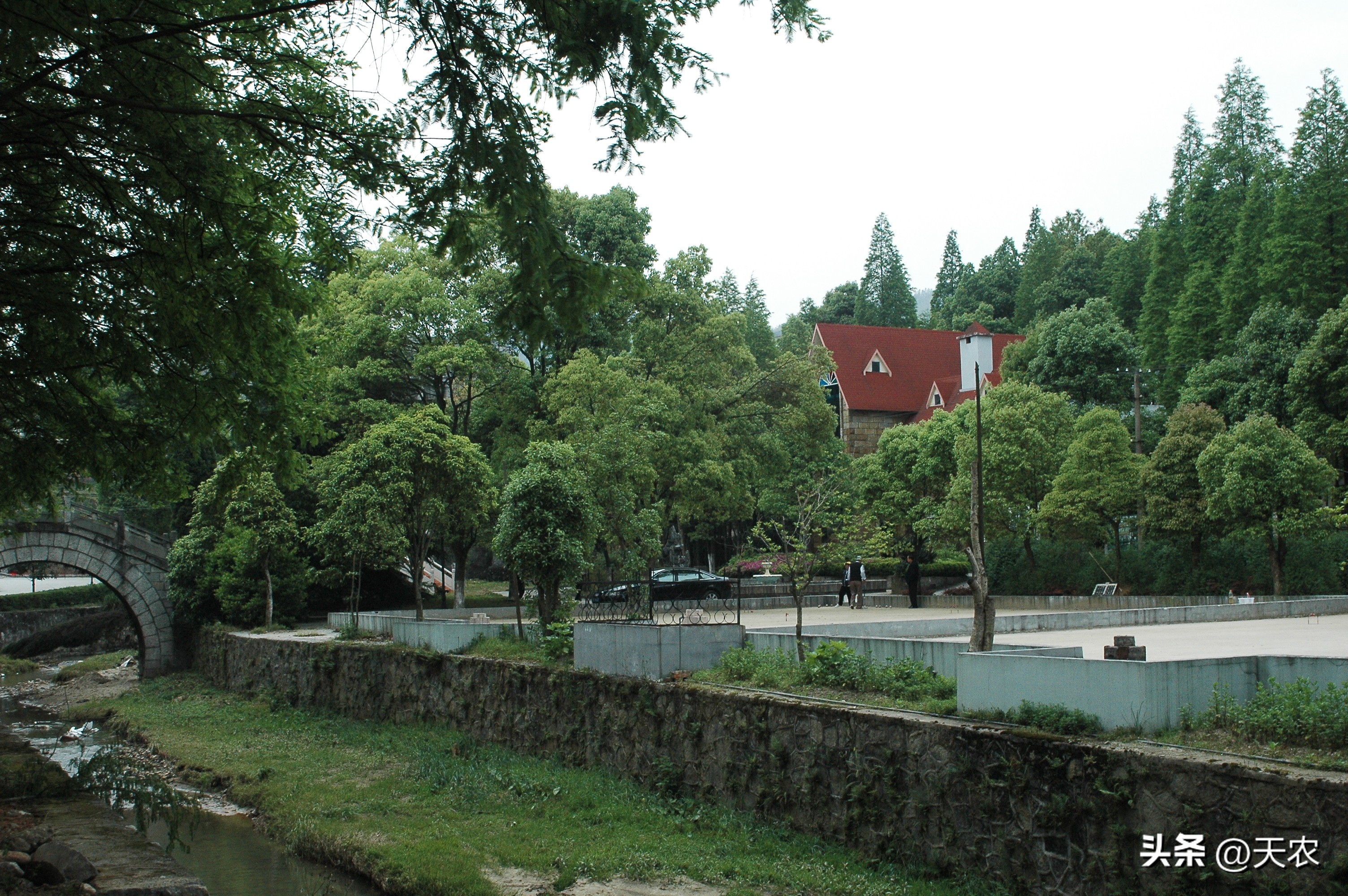 富硒水(富硒水最建议买的三个牌子)-硒宝网