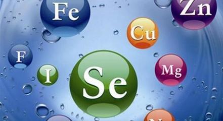 硒元素的作用与功效(元素硒的食物)-硒宝网